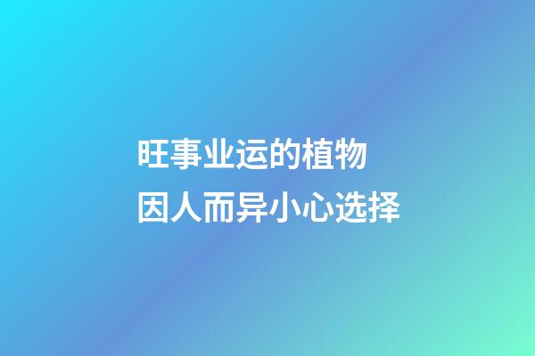 旺事业运的植物 因人而异小心选择